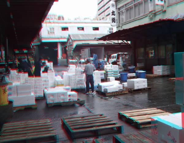 Fish_01.JPG Fish_01.JPG
