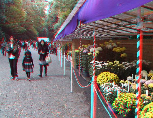 meiji_06.JPG meiji_06.JPG