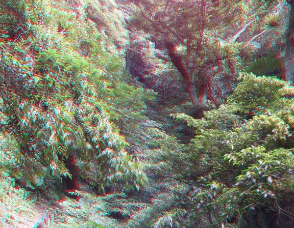 DSCF8663.jpg DSCF8663.jpg