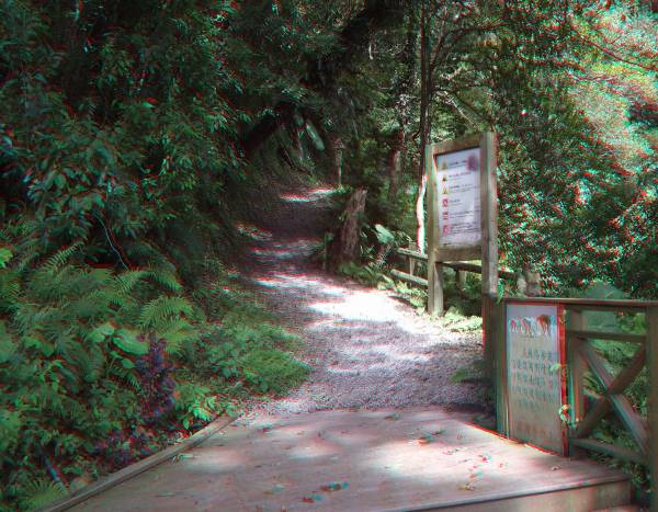 DSCF8661.jpg DSCF8661.jpg