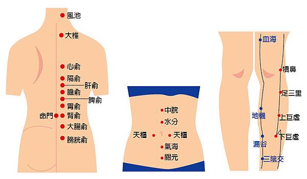 穴位圖-01.jpg