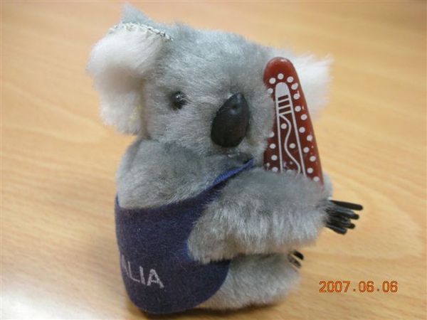 孟君去澳洲玩的無尾熊.JPG