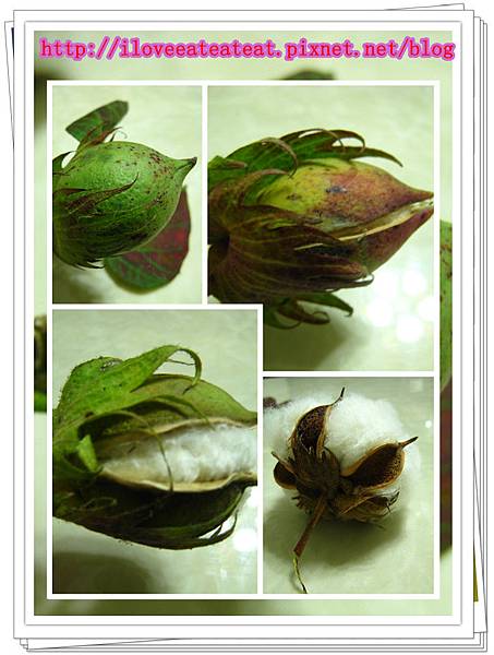 IMG_6640_副本 IMG_6640_副本