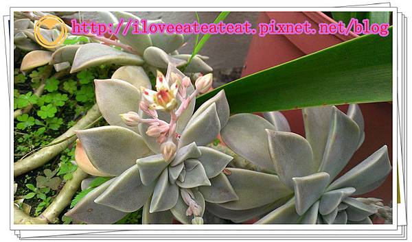 2014-03-03 09.52.44_副本 2014-03-03 09.52.44_副本