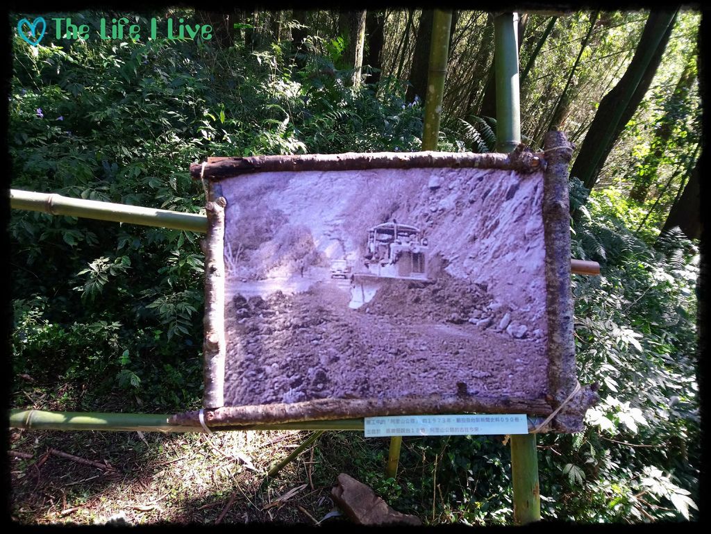 阿里山奮起湖 041.jpg