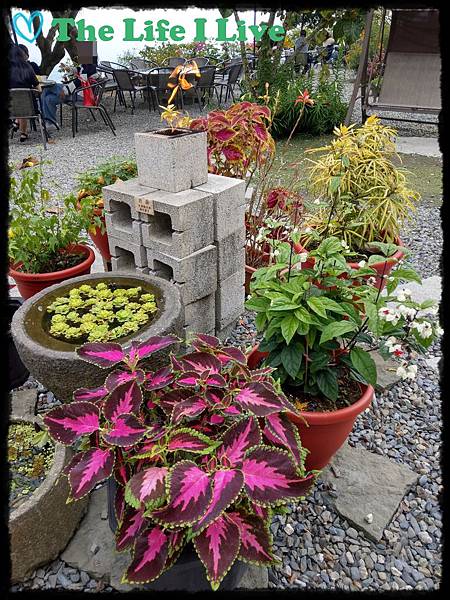 雲萊山莊 009.jpg 雲萊山莊 009.jpg