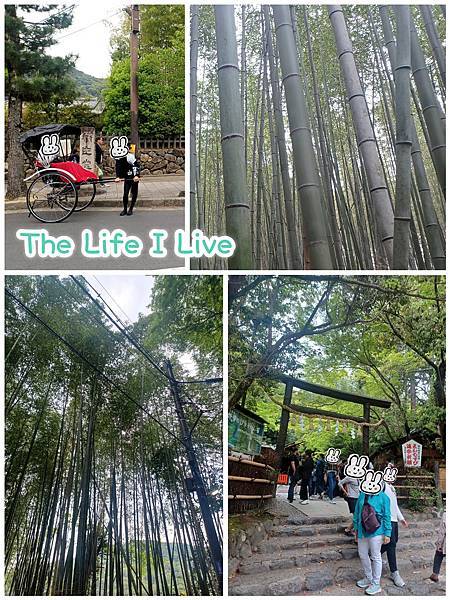 {遊記}{日本}{嵐山}野宮神社、嵯峨野竹林步道~