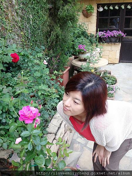 玫瑰香味之英國庭院 & 正妹老師Emily Cheng