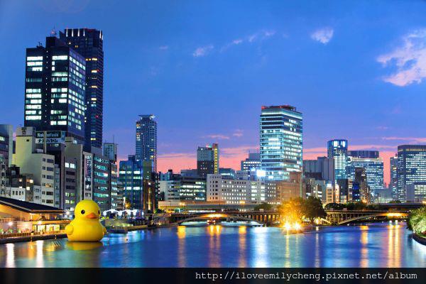 黃色小鴨 YELLOW DUCK  JAPAN