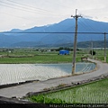 居住在這塊土地