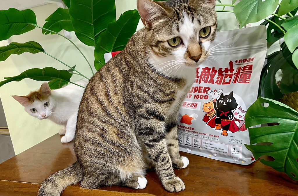 S__78397458.jpg