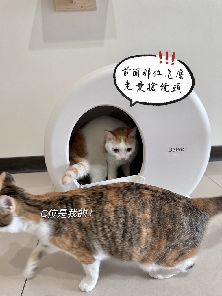 最聰明的【AIRROBO智慧監測自動貓砂機 C10 PRO】