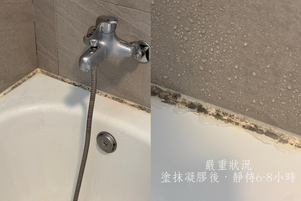 試用
