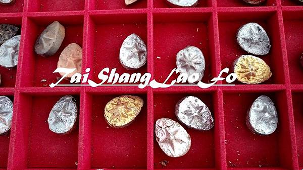 IMAG1822.jpg IMAG1822.jpg