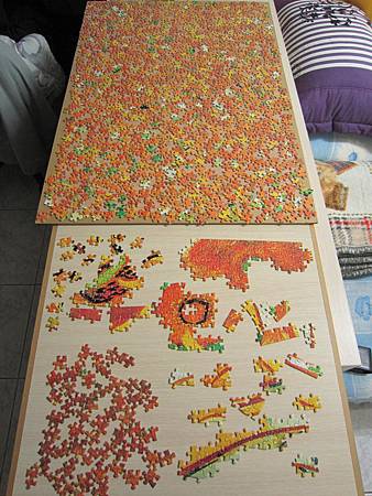 IMG_3666.jpg IMG_3666.jpg