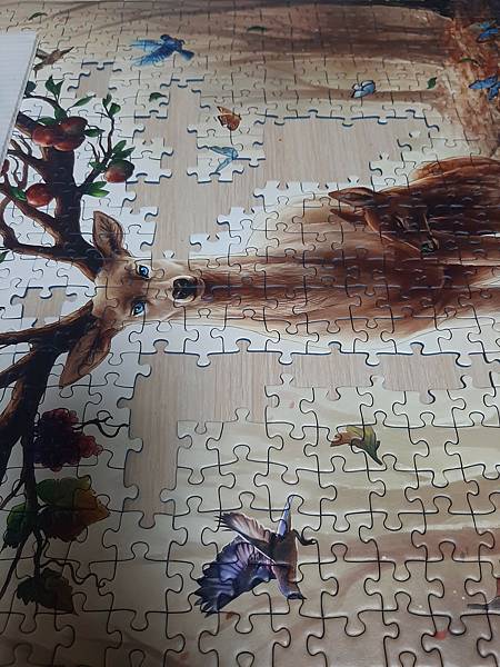 Ravensburger/1000 -Magical Dee