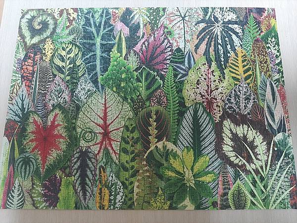 Galison/1000 -Houseplant Jungl Galison/1000 -Houseplant Jungl