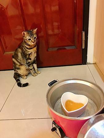 40239064_684103121963672_8995390538513383424_n.jpg 40239064_684103121963672_8995390538513383424_n.jpg