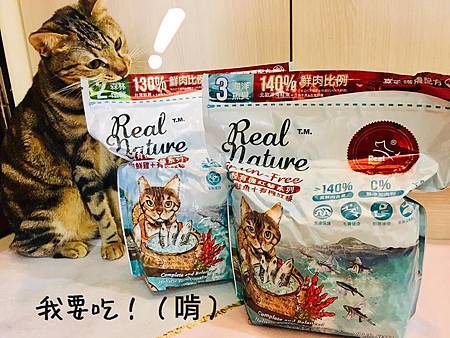 48085574_348529469291887_5444586408842887168_n.jpg 48085574_348529469291887_5444586408842887168_n.jpg