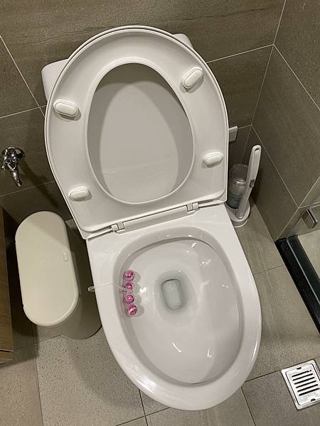 【推薦】Bref妙力SPA精油馬桶球（香浴雪松＆凝香百合）～