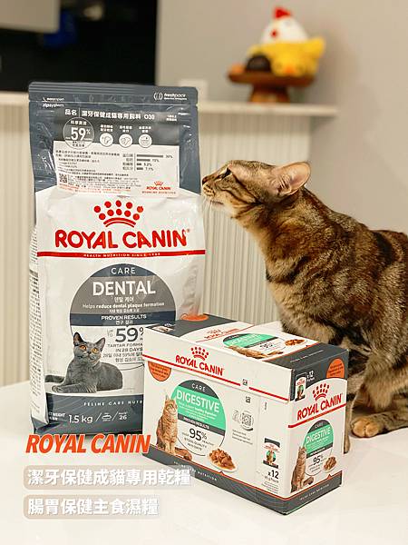 【貓奴】貓咪日常保健推薦必備～貓飼料推薦開箱！法國皇家ROY