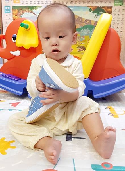 PhotoGrid_1575820320232.jpg 試用