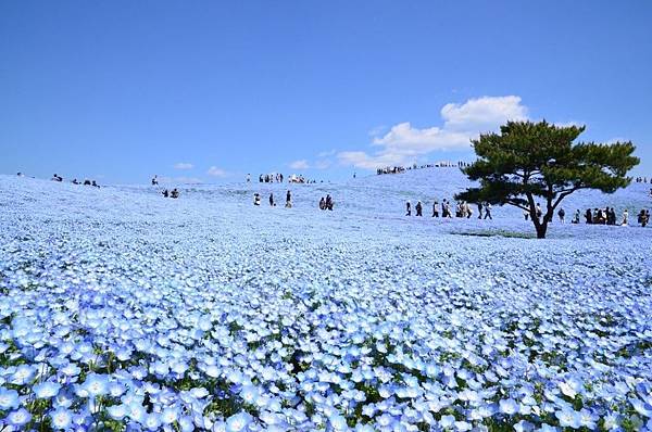 海濱公園.jpg 海濱公園.jpg