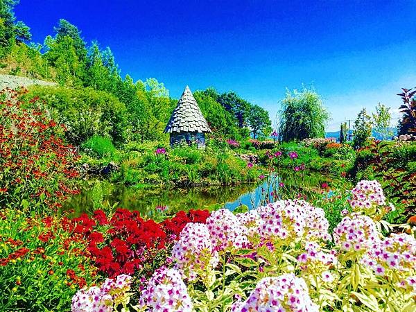 愛旅遊_達人陳秋伶老師帶路,北海道花藝見學!(02)66001688 愛旅遊_達人陳秋伶老師帶路,北海道花藝見學!(02)66001688