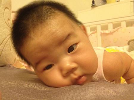IMG_5224 IMG_5224