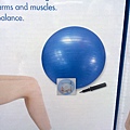 74325 Toyans Yoga Fitness Ball 瑜伽球 1.5mm 1500公克 承重180公斤 台灣製造 389 04