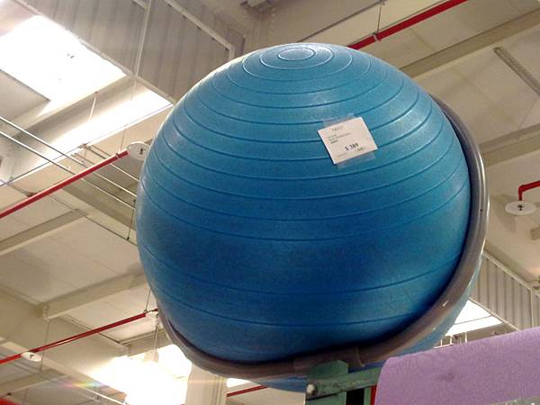 74325 Toyans Yoga Fitness Ball 瑜伽球 1.5mm 1500公克 承重180公斤 台灣製造 389 05