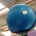 74325 Toyans Yoga Fitness Ball 瑜伽球 1.5mm 1500公克 承重180公斤 台灣製造 389 05