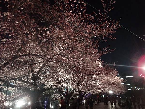 DSC04477.JPG DSC04477.JPG