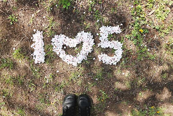 2019京阪D2_00 2019京阪D2_00