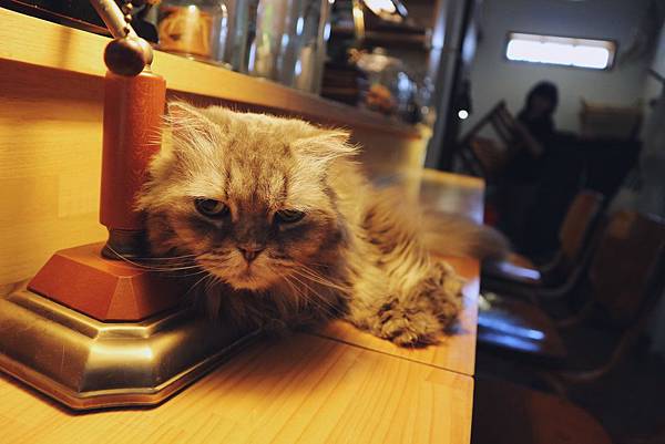 息座咖啡 00 息座咖啡 00