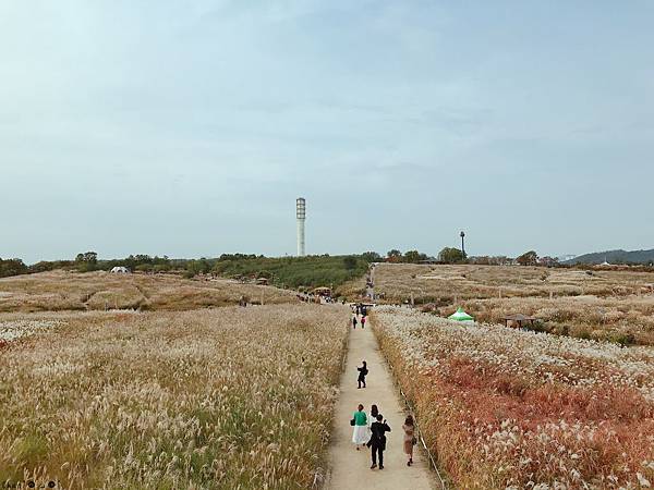 韓國自助D2_26_天空公園