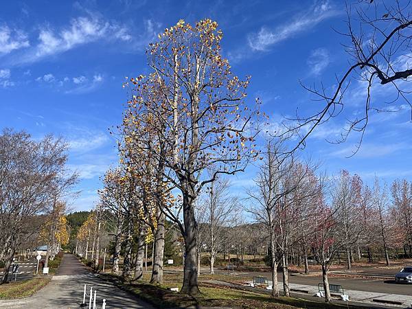 【遊記】2023仙台東北遊Day 2_第一次在日本包車遊~
