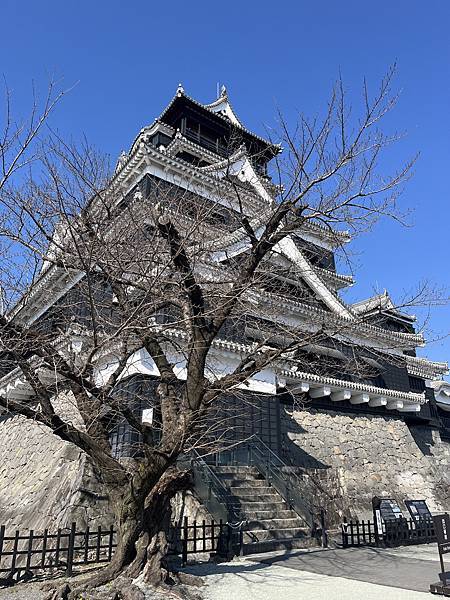 【遊記】2025熊本南九州遊Day 6+7_熊本市區吃吃逛逛