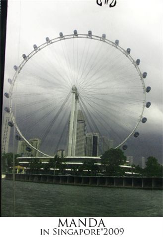 The Singapore Flyer