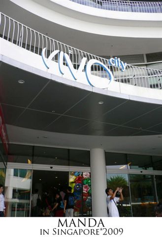 Vivo City Shopping Mall