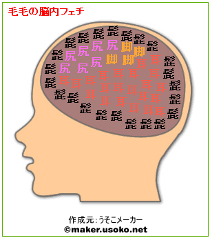 毛毛的腦內印象