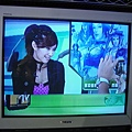 圈圈的MTV News