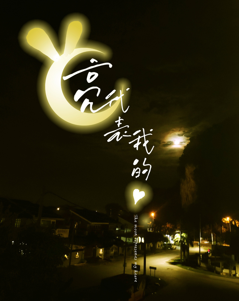 月亮代表我的心 1005