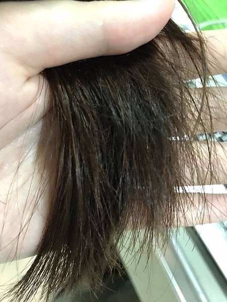 20170603_170603_0017.jpg 試用