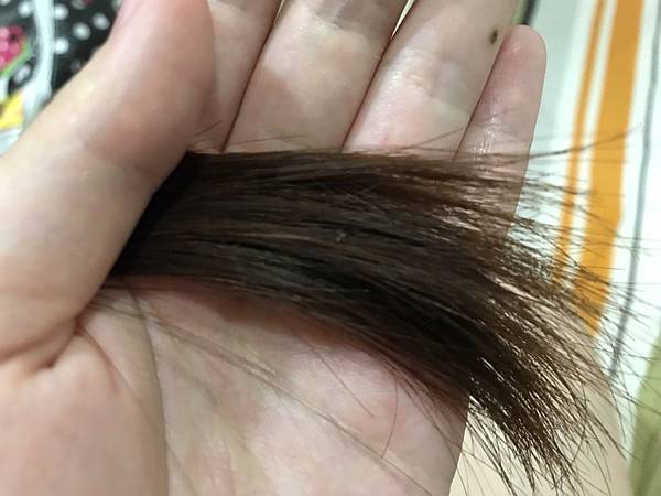 20170603_170603_0018.jpg 試用