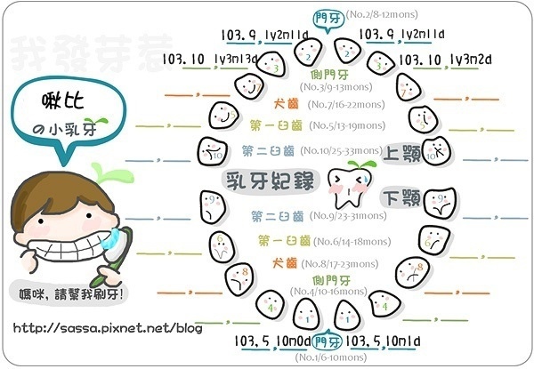 啾比發芽(15M上側門牙2)