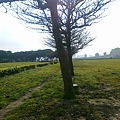 20110406047.jpg