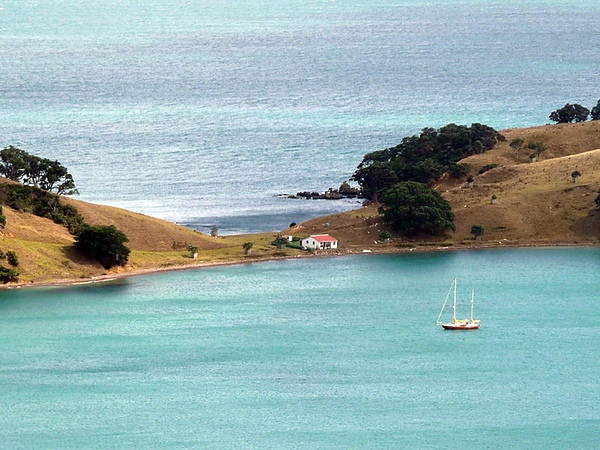 Waiheke00.JPG