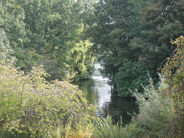 St. James' Park