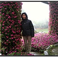 花真鮮豔.jpg